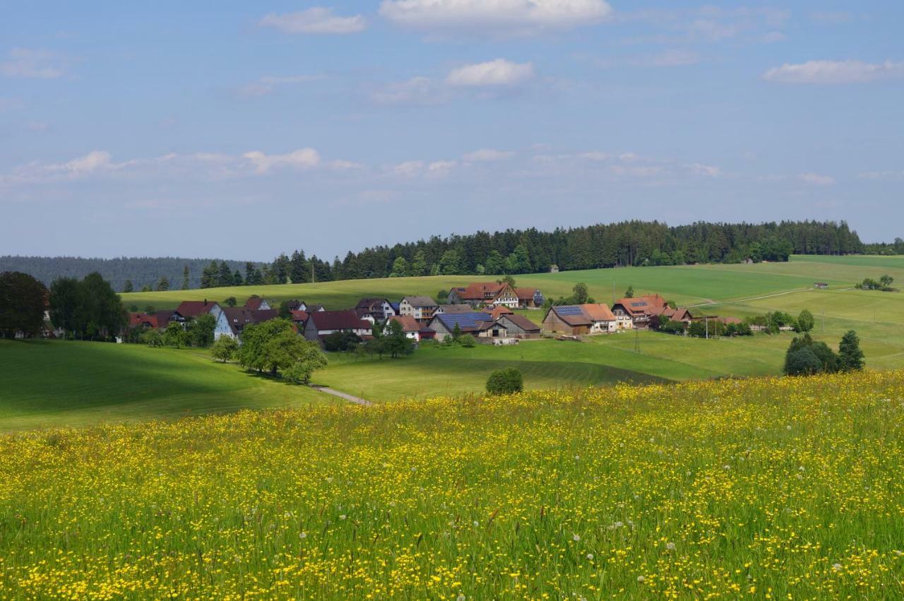 פרוידנשטאדט Black Forest Lodge מראה חיצוני תמונה