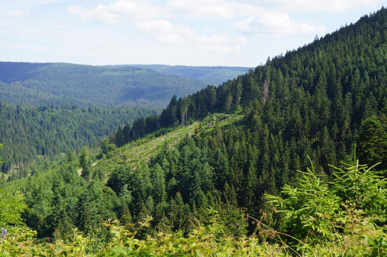 פרוידנשטאדט Black Forest Lodge מראה חיצוני תמונה