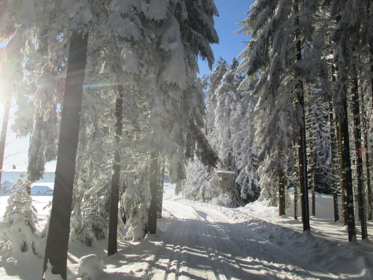 פרוידנשטאדט Black Forest Lodge מראה חיצוני תמונה
